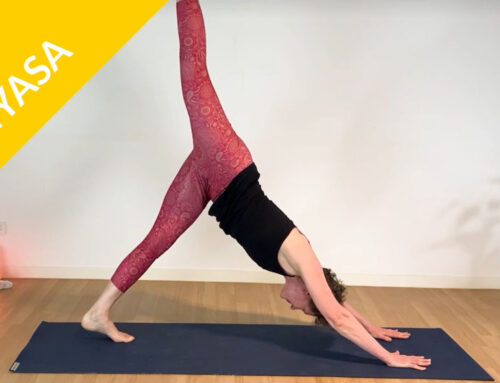 Vinyasa Flow (43 min)